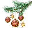 Red christmas balls on green spruce branch