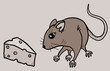 Food rat