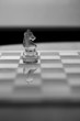 Knight chess piece - strategy, board - room for text