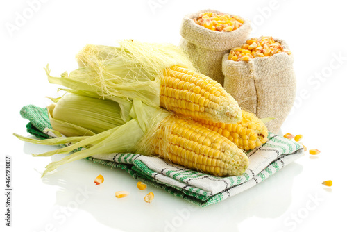 Photo: fresh corn and bags with dry corn, isolated on white fresh corn and bags with dry corn, isolated on white