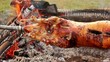 Video: pig pig