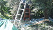 raccolta delle olive
