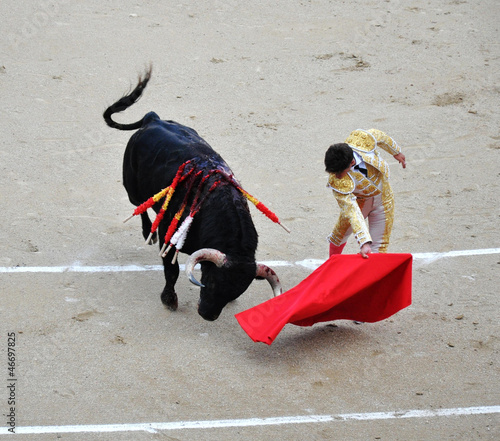 Photo: bullfight bullfight