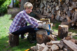 Holzspalter