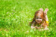 A smiling girl is lying on the meadow