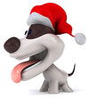 Fun dog