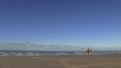 au galop sur la plage