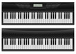 Vector: Two realistic synthesizer Two realistic synthesizer