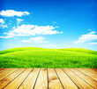 Field