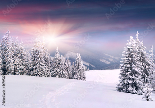 Photo: Beautiful winter landscape in the mountains. Sunrise Beautiful winter landscape in the mountains. Sunrise