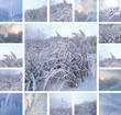 Winter collage