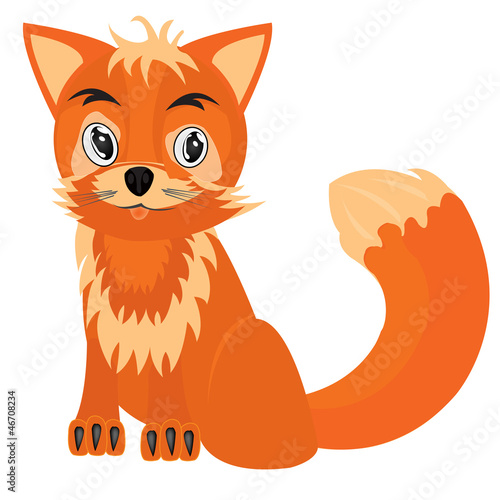 Vector: Drawing of the fox on white background Drawing of the fox on white background