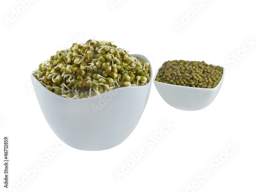 Photo: Sprouts of green grams in a bowl Sprouts of green grams in a bowl