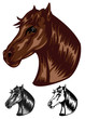 horse color