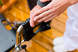 Alter und Pflege - Pflegerin und Seniorin mit Rollator