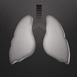 Lungs, stamped into polished  metal