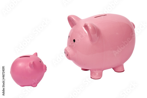 Photo: Big Pig Looking at Little Pig Big Pig Looking at Little Pig