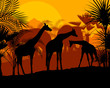 Giraffe at sunset vector background