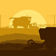Combine harvesting crop in grain fields vector