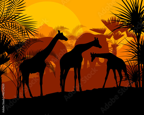 Vector: Giraffe at sunset vector background Giraffe at sunset vector background