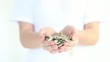 Money and hands