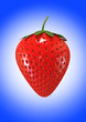 Foto: fresh red strawberry - healthy food - fresh red strawberry - healthy food -