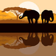 Elephant family in wild Africa mountain nature landscape backgro