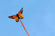 Kite in the sky, insect