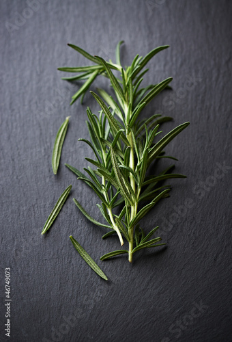 Photo: Fresh rosemary sprigs on chalkboard Fresh rosemary sprigs on chalkboard