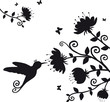 kolibri