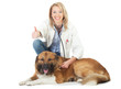 tierärztin mit hund