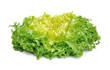 salade frisée