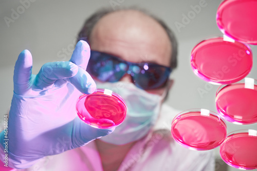 Photo: Bioterrorist handles cell culture dishes Bioterrorist handles cell culture dishes