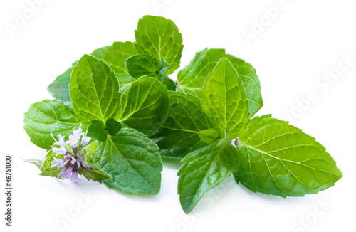 Photo: Leaf of mint with flower Leaf of mint with flower