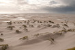Insel Amrum, Küste 4