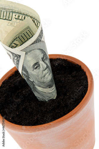 Photo: Dollar-Geldschein in Blumentopf. Zinsen, Wachstum. Dollar-Geldschein in Blumentopf. Zinsen, Wachstum.