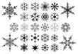 Vector snowflakes