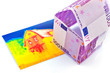 Haus aus Eurogeldscheinen und Infrarotbild