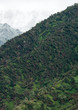 Big wind storm in mountain