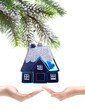 toy small house - New Year's dream of own house..