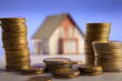 haus-geld