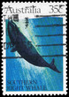 AUSTRALIA - CIRCA 1982 Southern Right Whale