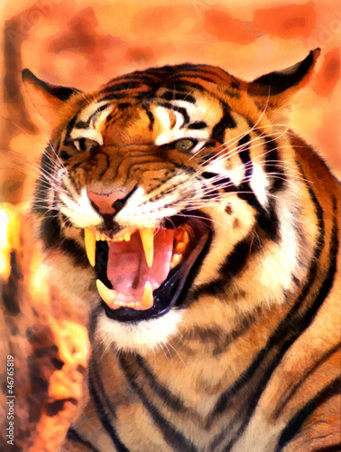 Illustration: Angry Face Tiger Portrait Painting Angry Face Tiger Portrait Painting