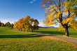 Indian Summer, Warngau, Straße, Weg, Kurve,
