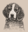 Dog artistic drawing