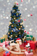 Christmas - Decorated christmas tree with lots of gifts and toys