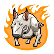 Fire Bullterrier