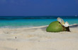 Kokosnuss am Strand