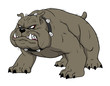 bulldog