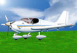 Privatflugzeug auf Graslandebahn